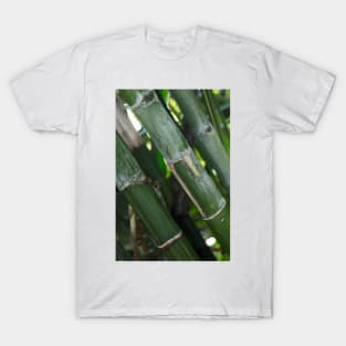 A Bamboo Experience © T-Shirt